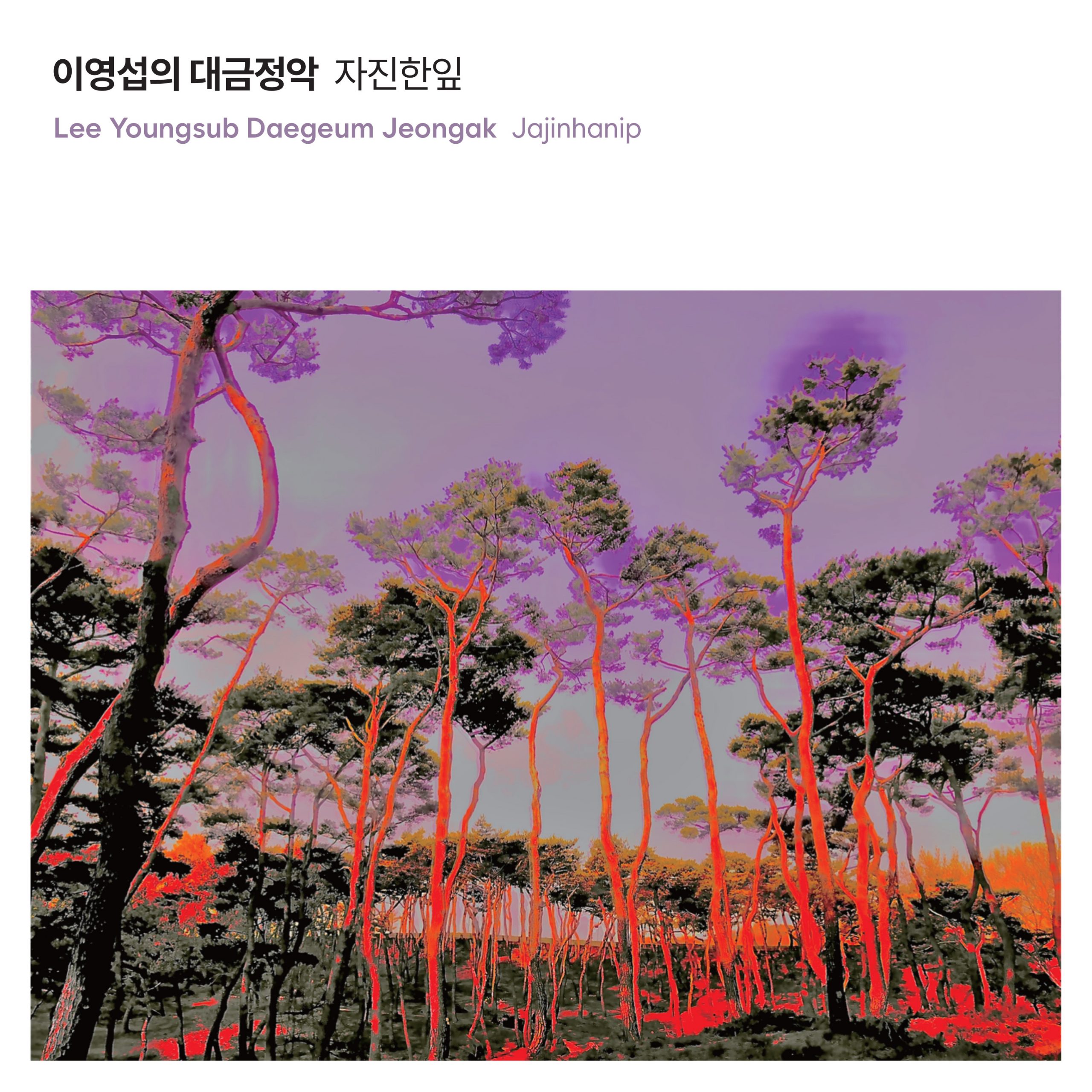 Lee Young-sup Captures the Essence of Jeongak with ‘Jajinhanip’ Daegeum Solo Album